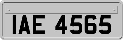 IAE4565