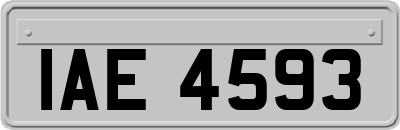 IAE4593