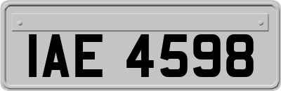 IAE4598