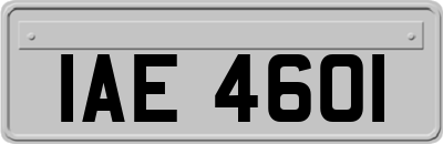 IAE4601