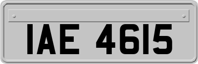 IAE4615