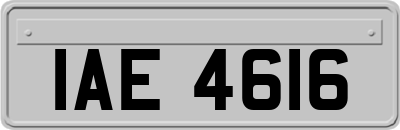 IAE4616