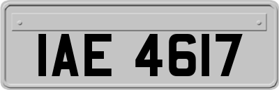 IAE4617