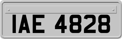 IAE4828
