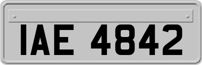 IAE4842