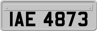 IAE4873