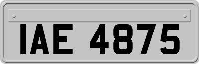 IAE4875