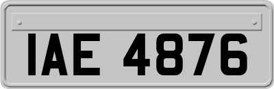 IAE4876