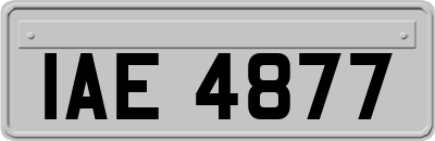 IAE4877