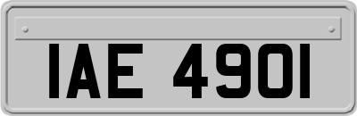 IAE4901