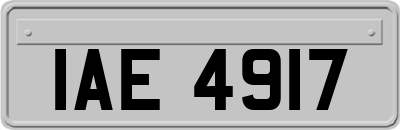 IAE4917