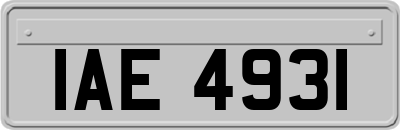 IAE4931
