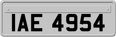IAE4954