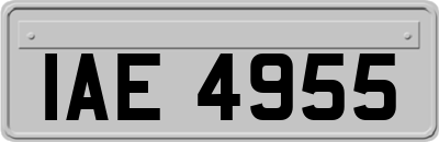 IAE4955