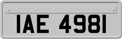 IAE4981