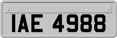 IAE4988