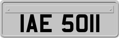 IAE5011