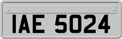 IAE5024