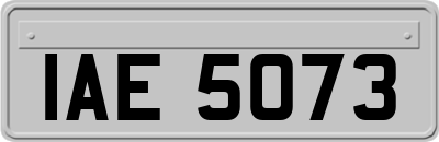IAE5073