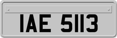 IAE5113