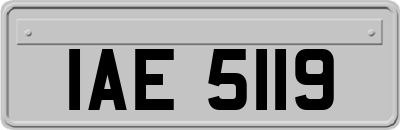 IAE5119