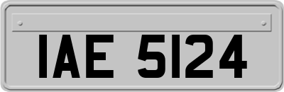 IAE5124