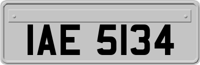IAE5134