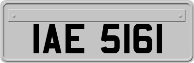 IAE5161