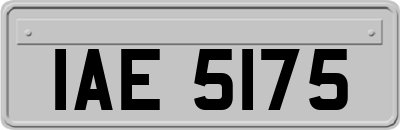 IAE5175