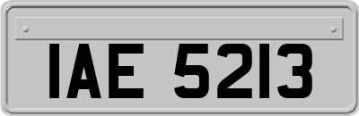 IAE5213