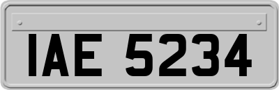 IAE5234