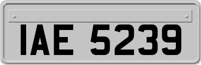 IAE5239