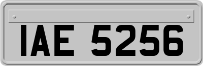 IAE5256