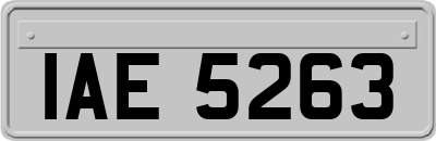 IAE5263