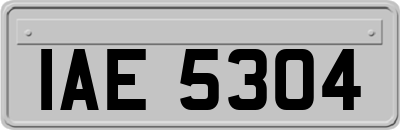IAE5304