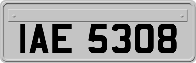 IAE5308