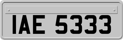 IAE5333