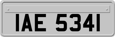 IAE5341