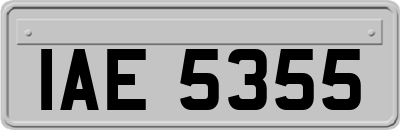 IAE5355