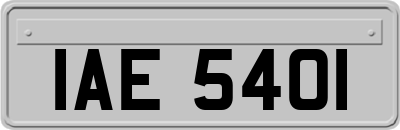 IAE5401