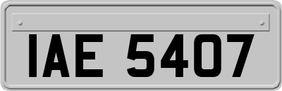 IAE5407