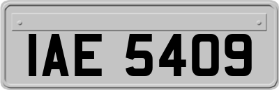 IAE5409