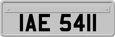 IAE5411