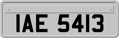IAE5413