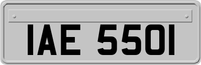 IAE5501