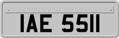 IAE5511