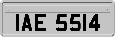 IAE5514