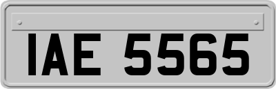 IAE5565