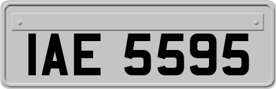 IAE5595