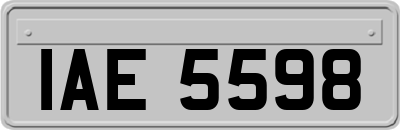 IAE5598